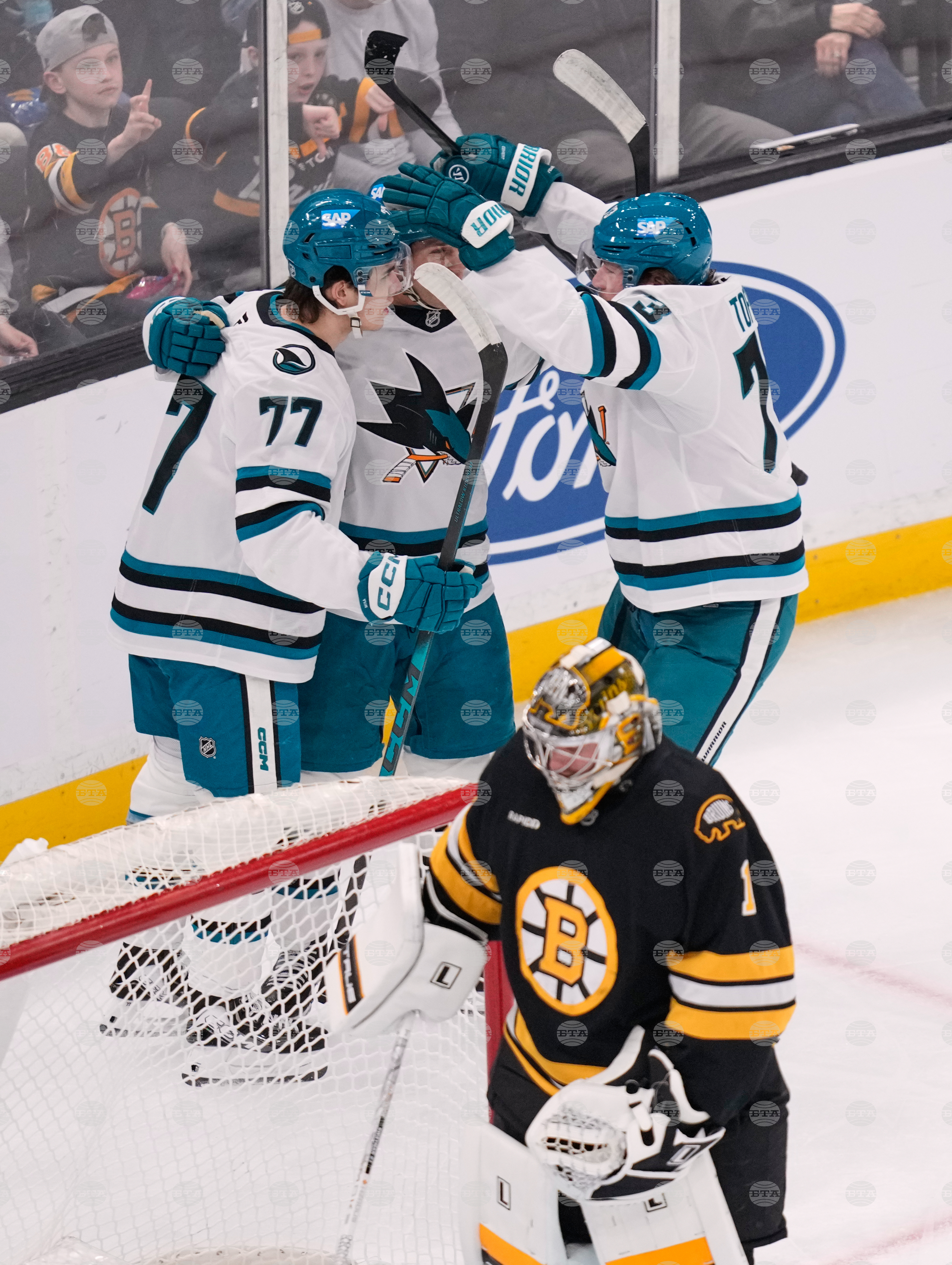 Sharks Bruins Hockey