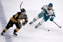 Sharks Bruins Hockey