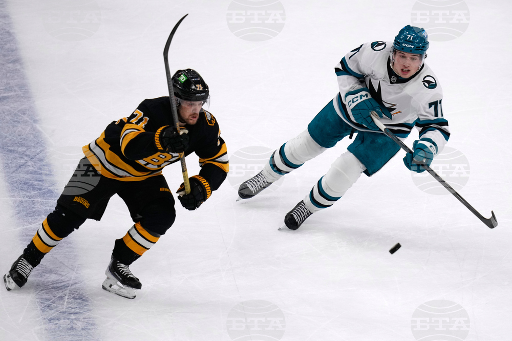 Sharks Bruins Hockey
