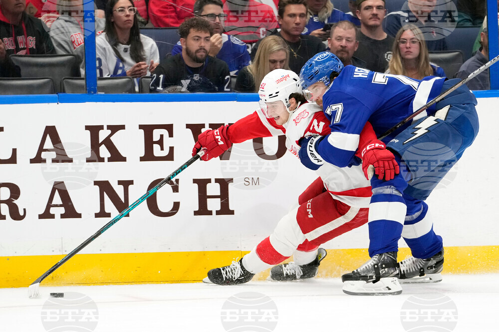 Red Wings Lightning Hockey