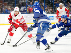 Red Wings Lightning Hockey