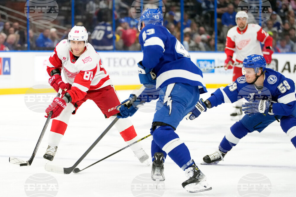 Red Wings Lightning Hockey