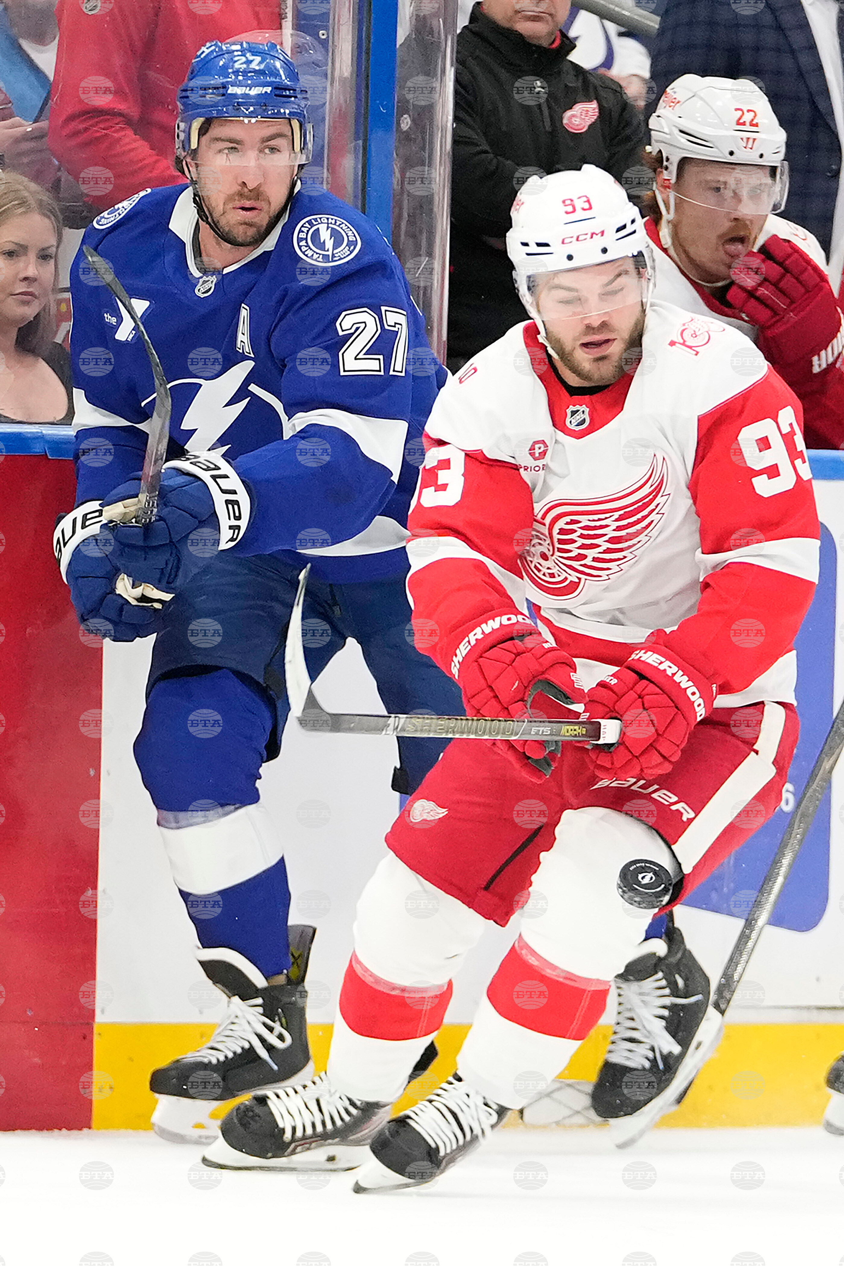 Red Wings Lightning Hockey