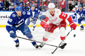 Red Wings Lightning Hockey