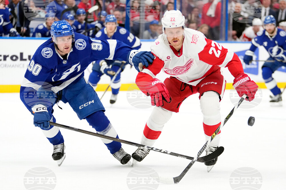 Red Wings Lightning Hockey
