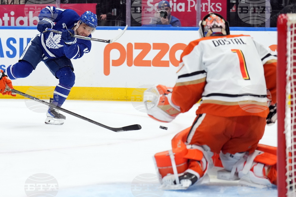 Ducks Maple Leafs Hockey