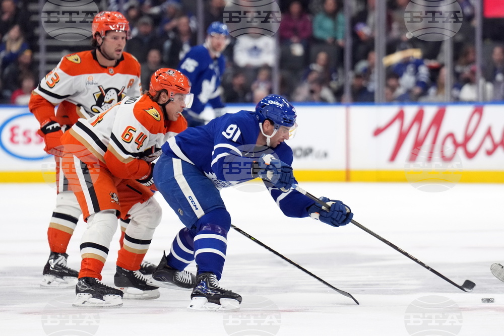 Ducks Maple Leafs Hockey