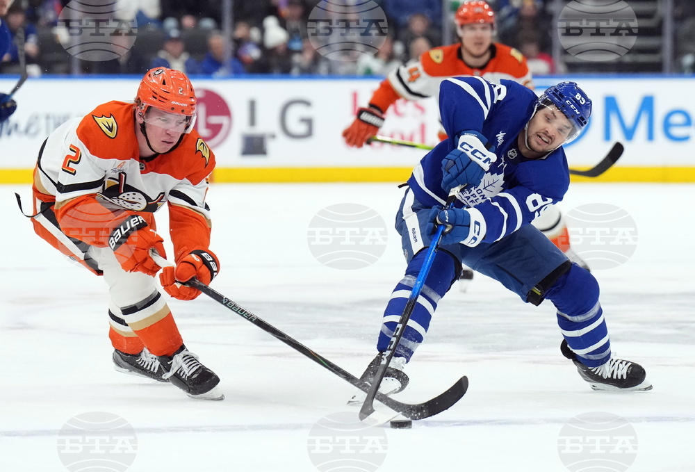 Ducks Maple Leafs Hockey