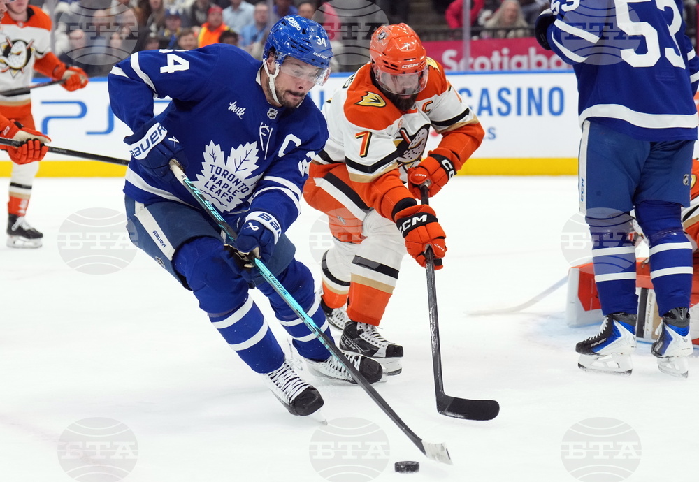 Ducks Maple Leafs Hockey