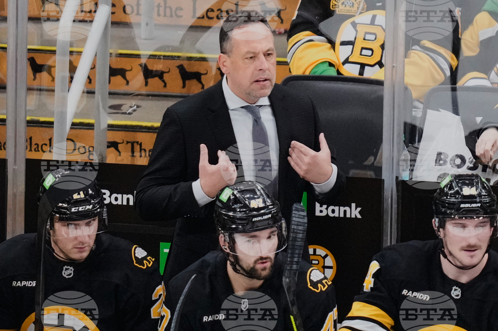 Sharks Bruins Hockey