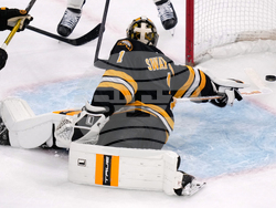 Sharks Bruins Hockey