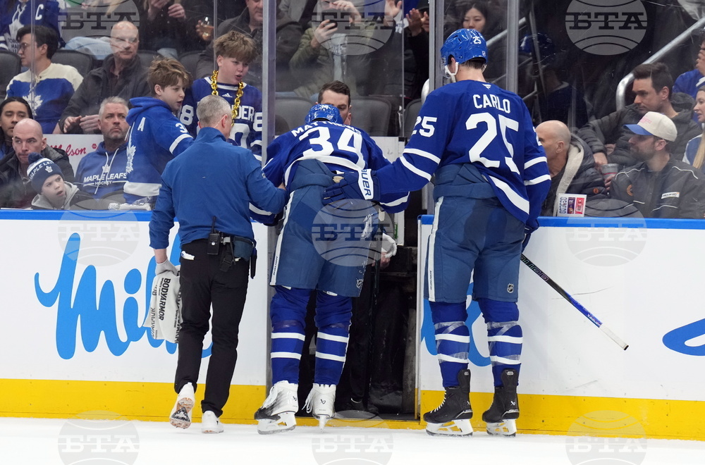 Ducks Maple Leafs Hockey