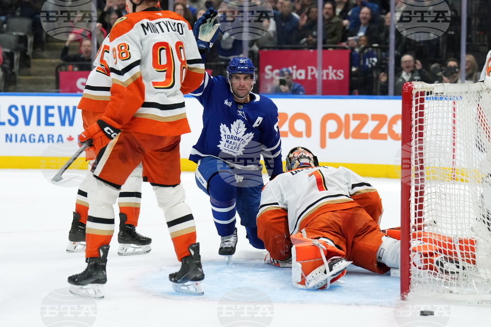 Ducks Maple Leafs Hockey