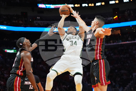 Bucks Heat Basketball