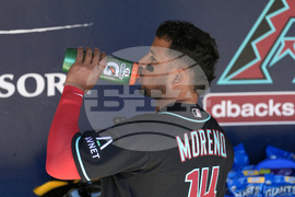 Rockies Diamondbacks Spring Baseball