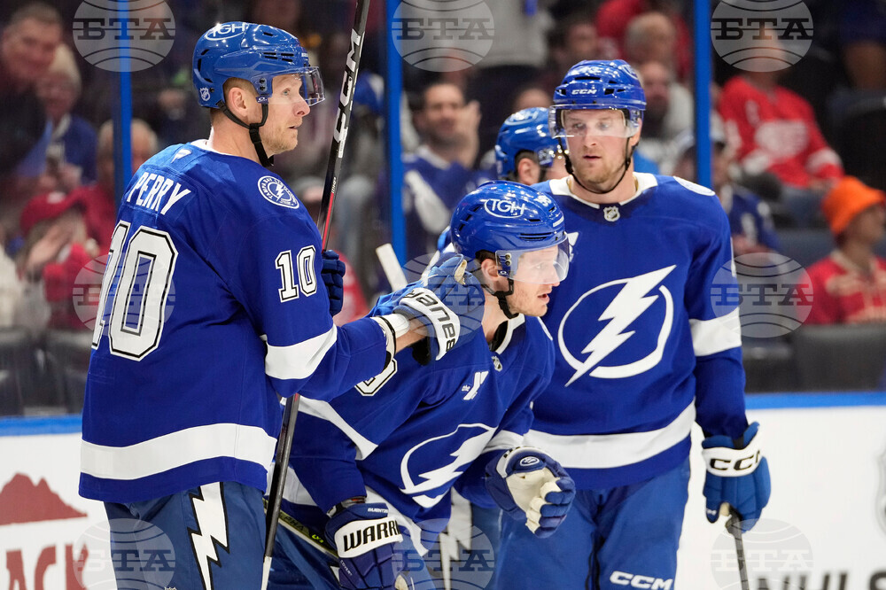 Red Wings Lightning Hockey