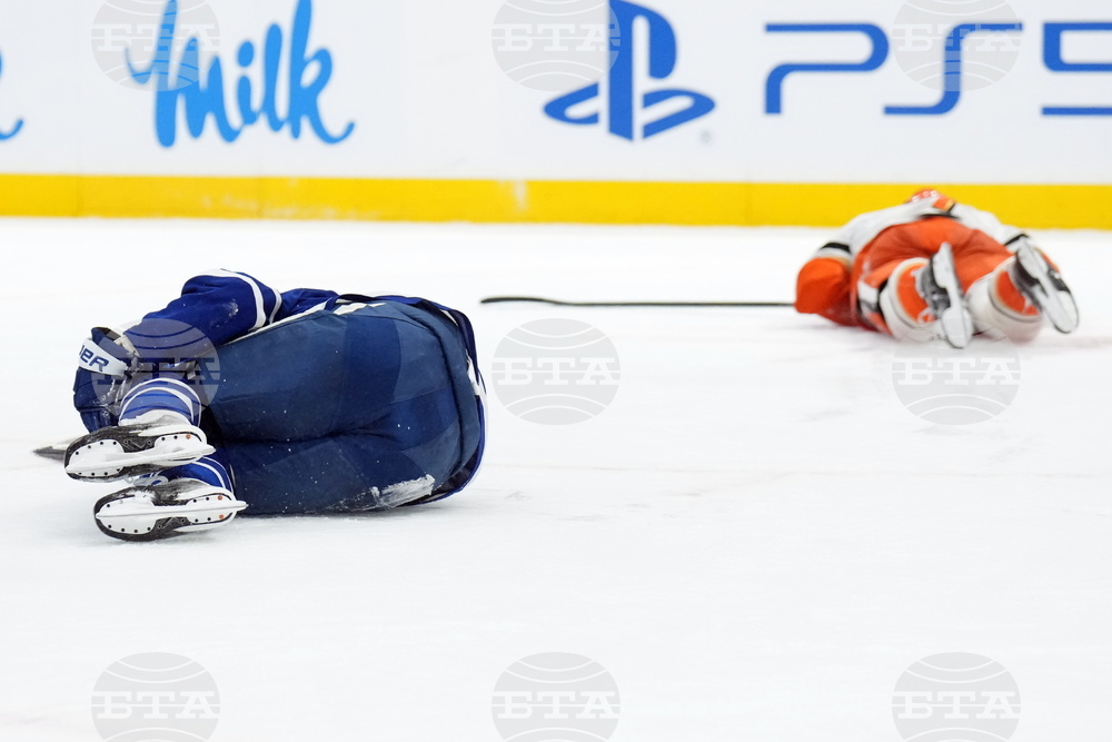 Ducks Maple Leafs Hockey