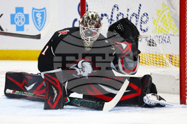 Capitals Sabres Hockey