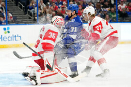 Red Wings Lightning Hockey