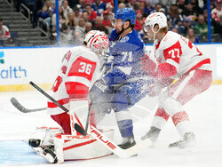 Red Wings Lightning Hockey