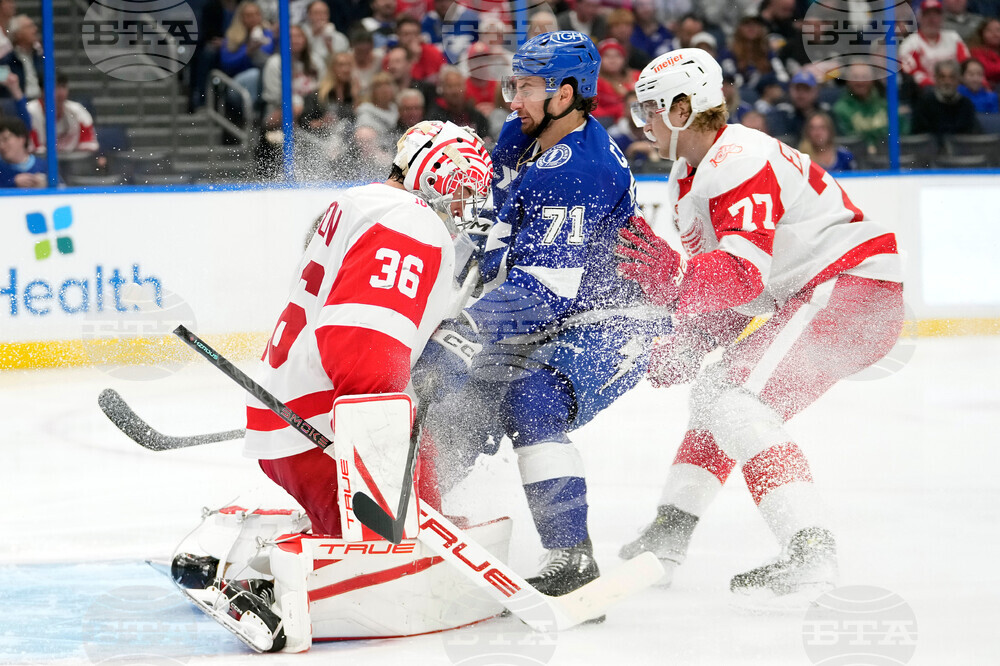 Red Wings Lightning Hockey