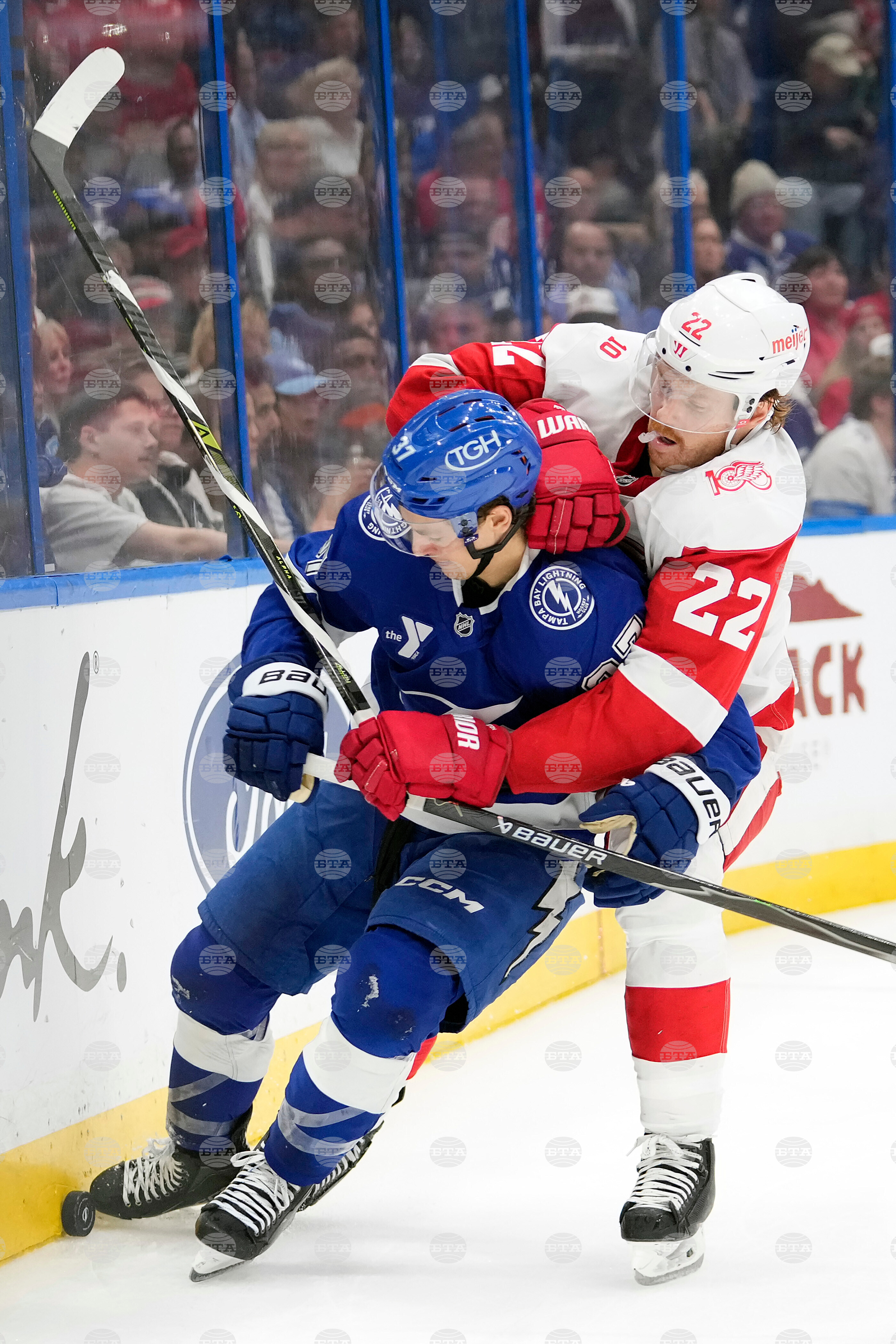 Red Wings Lightning Hockey