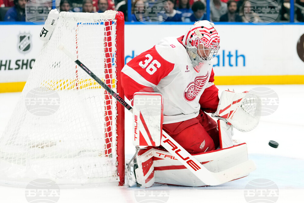 Red Wings Lightning Hockey