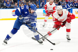 Red Wings Lightning Hockey