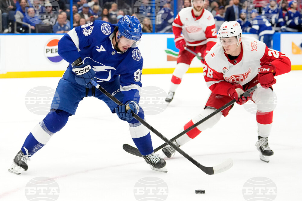 Red Wings Lightning Hockey