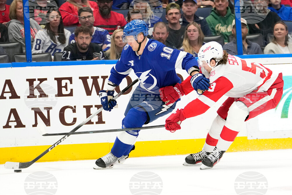 Red Wings Lightning Hockey