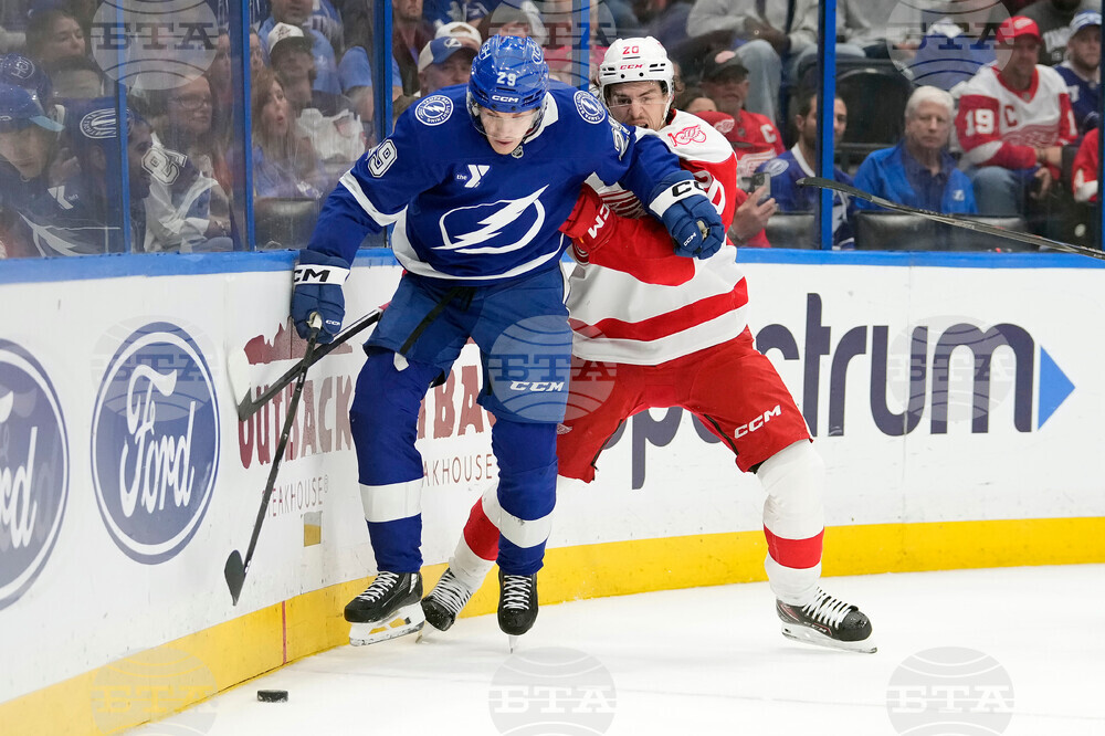 Red Wings Lightning Hockey