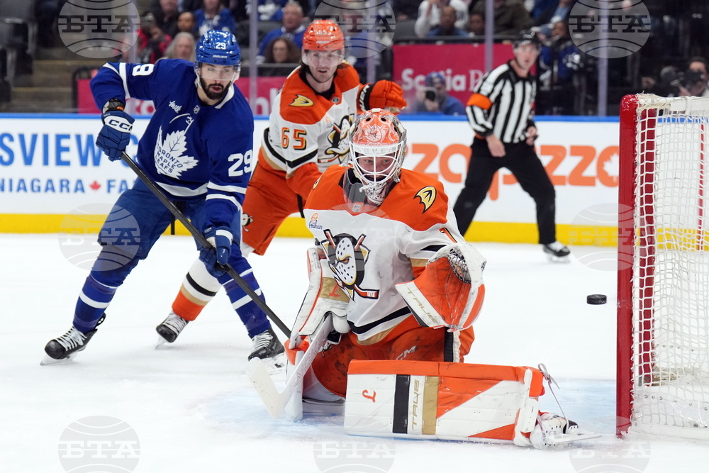 Ducks Maple Leafs Hockey