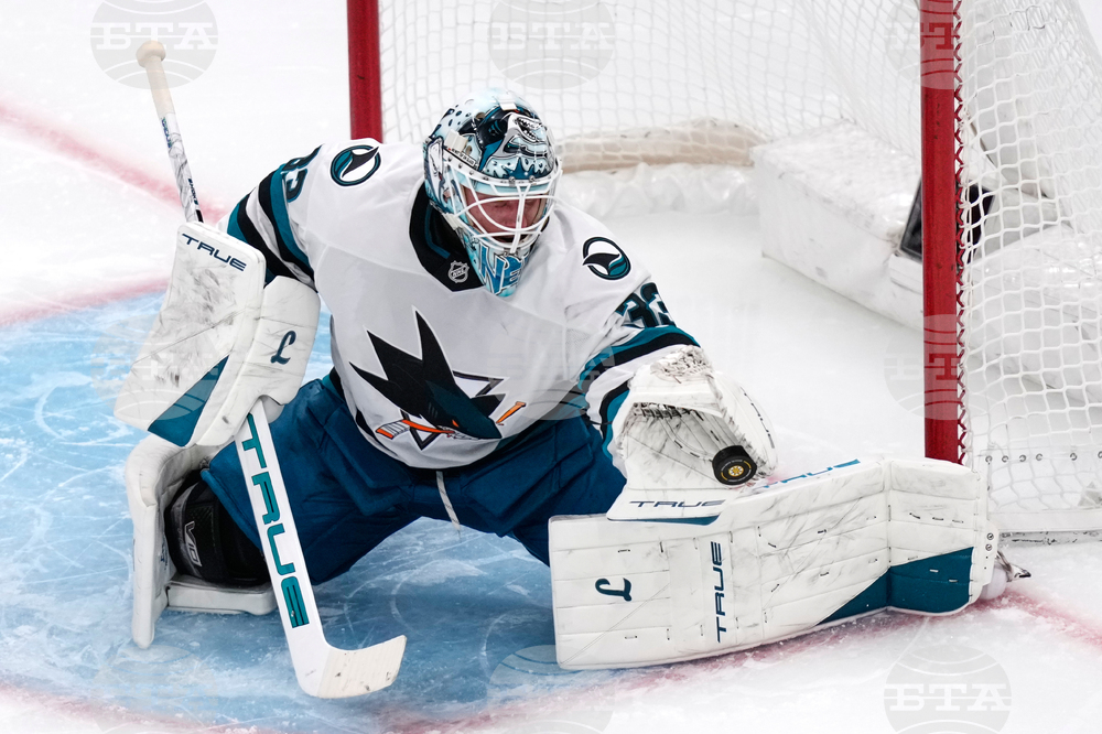 Sharks Bruins Hockey