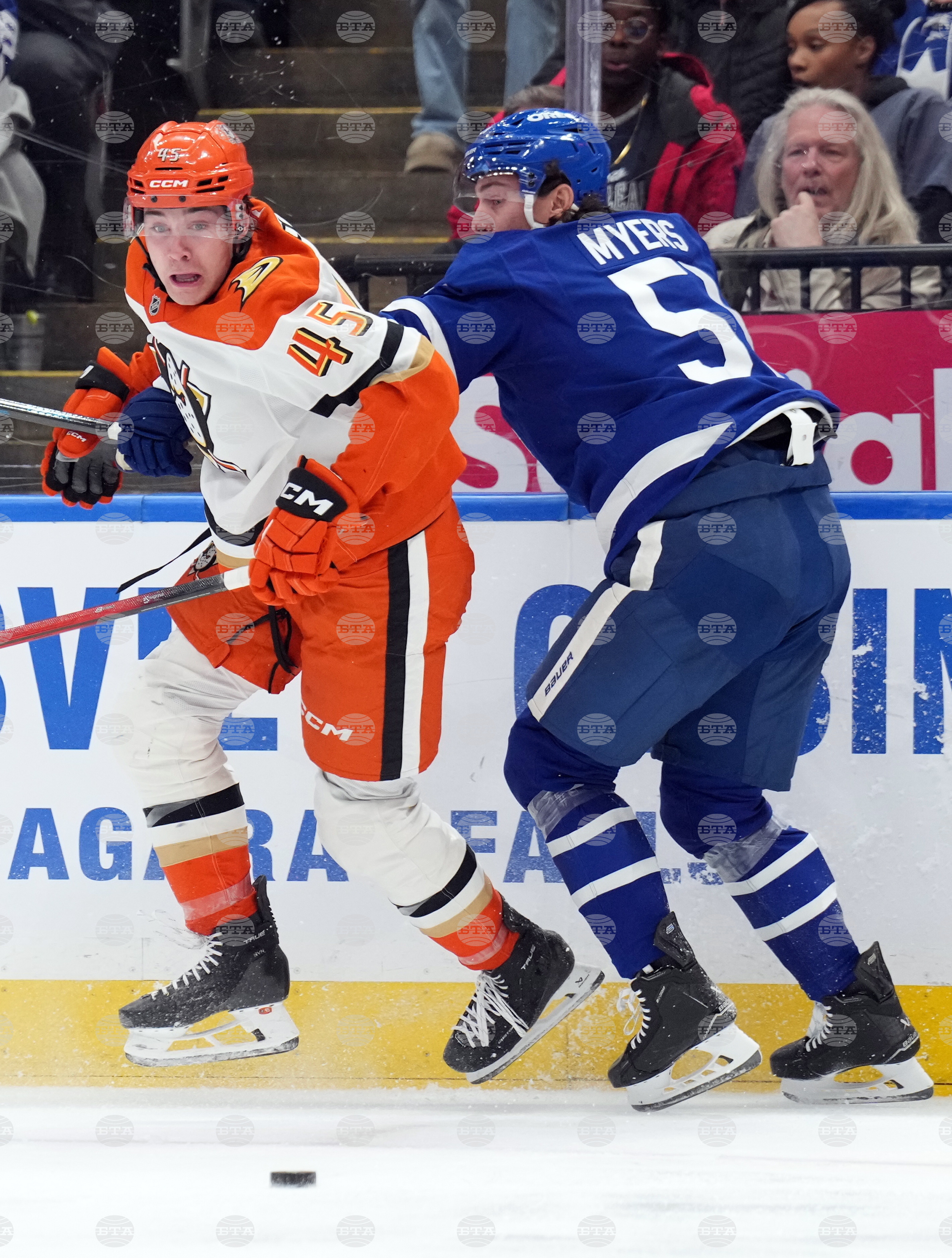 Ducks Maple Leafs Hockey