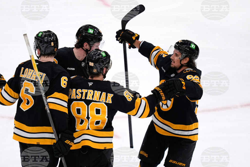 Sharks Bruins Hockey