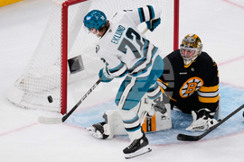 Sharks Bruins Hockey