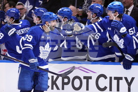 Ducks Maple Leafs Hockey