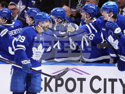 Ducks Maple Leafs Hockey