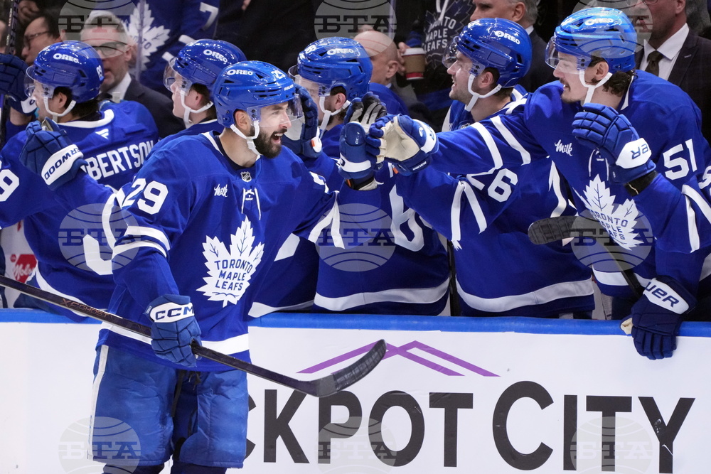 Ducks Maple Leafs Hockey