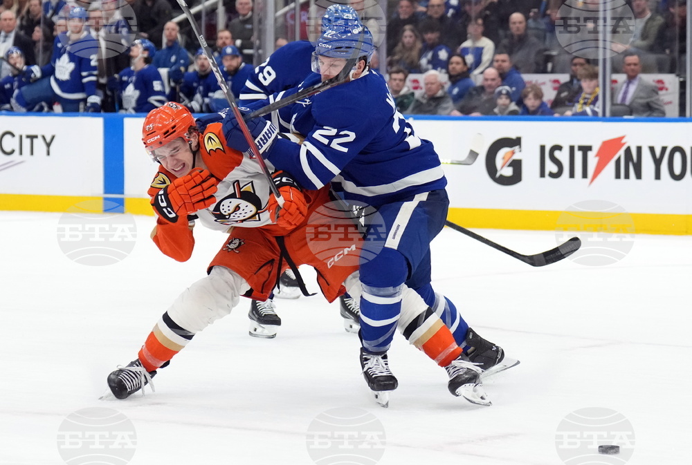 Ducks Maple Leafs Hockey