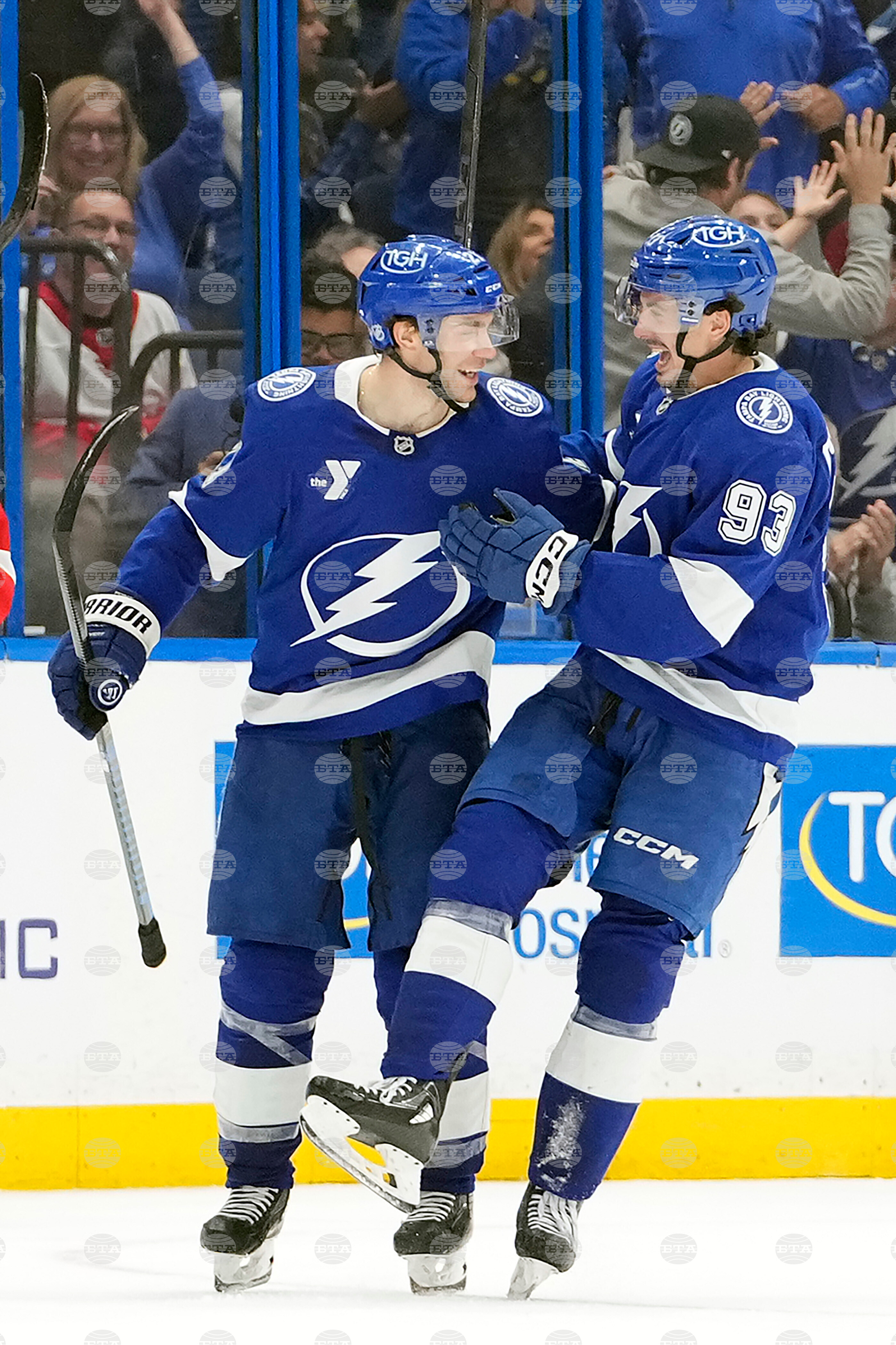 Red Wings Lightning Hockey