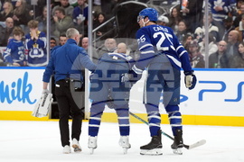 Ducks Maple Leafs Hockey