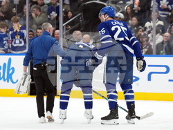 Ducks Maple Leafs Hockey