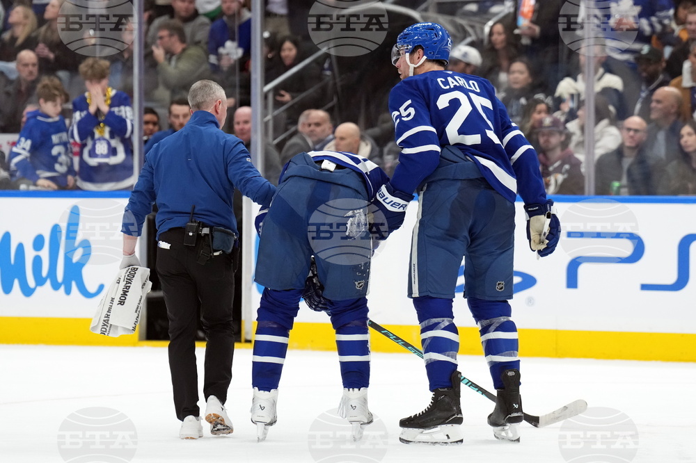 Ducks Maple Leafs Hockey