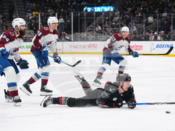 Avalanche Kraken Hockey