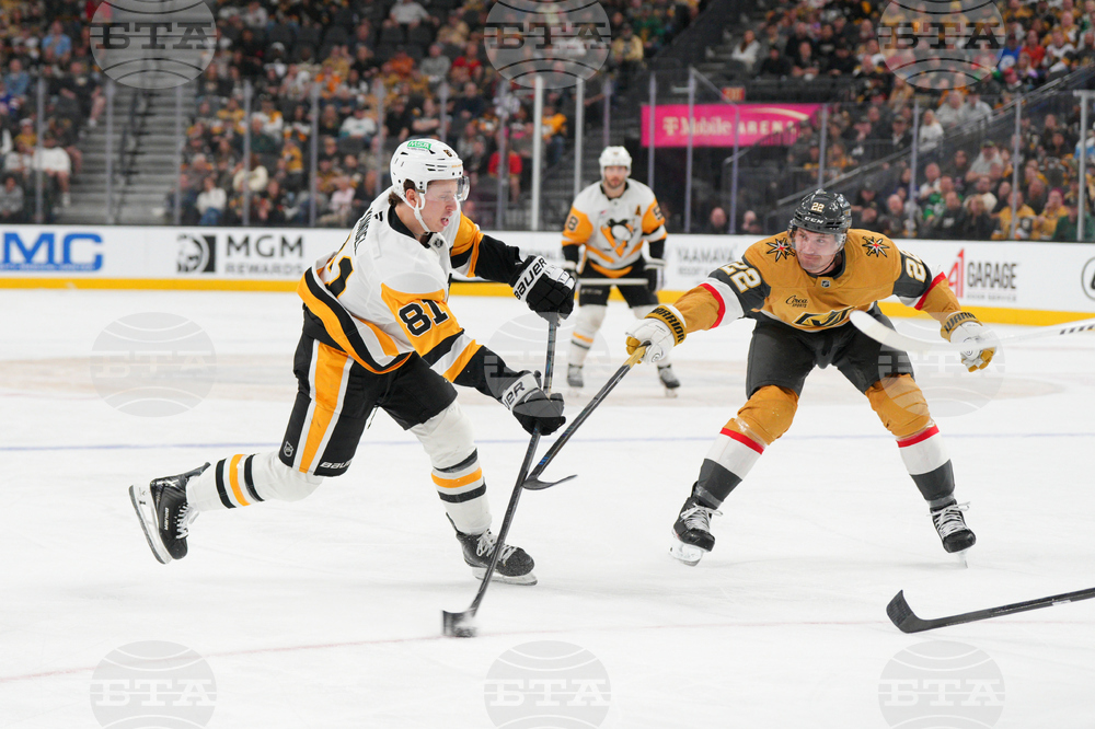 Penguins Golden Knights Hockey