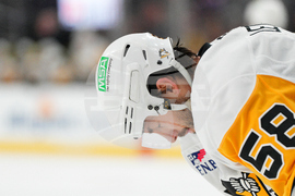 Penguins Golden Knights Hockey