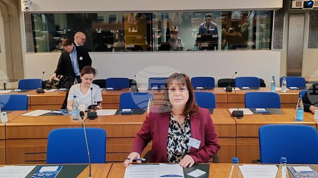 Bulgarian Ombudsman at CoE Forum in Strasbourg