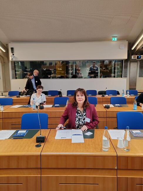 Омбудсманът Велислава Делчева участва във форум на Съвета на Европа за ролята на омбудсманите и националните институции за правата на човека