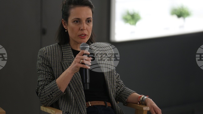 Искаме дискусията ни да премине в анализ, полезен за всички в културния сектор, каза зам.-кметът на София Ирина Дакова